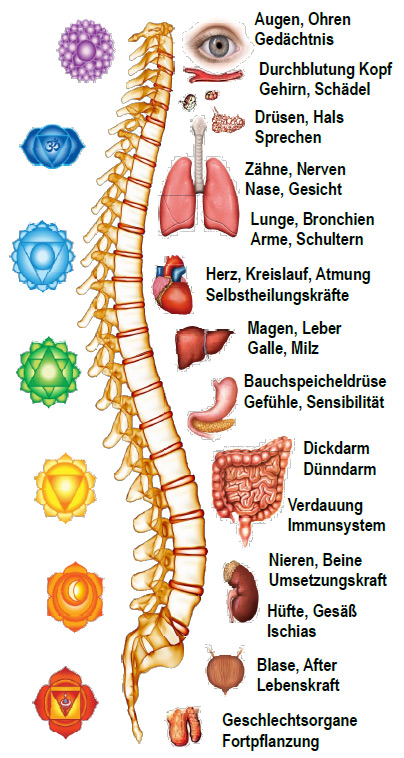 Wirbelsäulenbegradigung